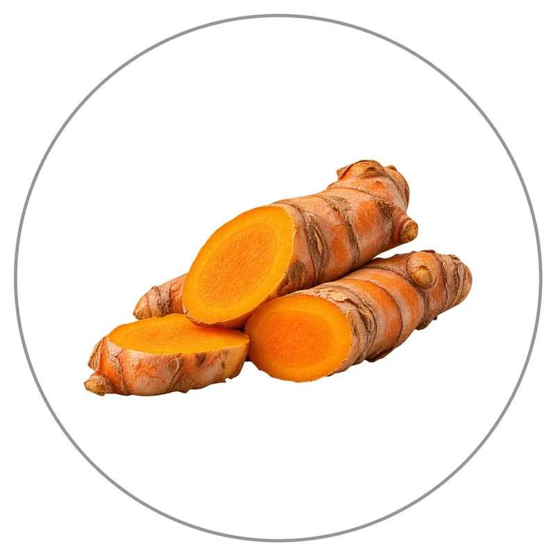 Vivid Turmeric Rhizomes and Slices