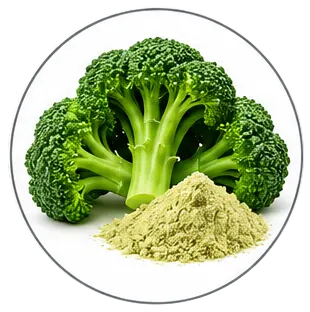 Broccoli Extract (Sulforaphane)