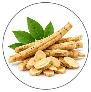 Astragalus
