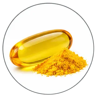 Coenzyme Q10 (CoQ10)