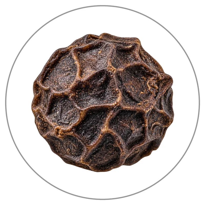 Isolated Wrinkled Black Peppercorn